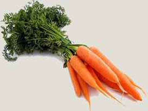 Морковь  выращивание и уход
