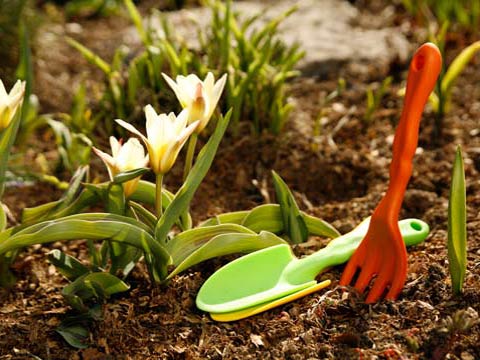 Работы в саду и огороде в апреле - Календарь садовода на апрель