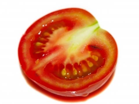 Выращивание помидор на семена