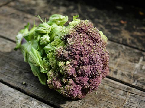 Зимой с витаминами: доращивание цветной капусты